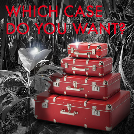 Markenentwicklung - Which case do you want?